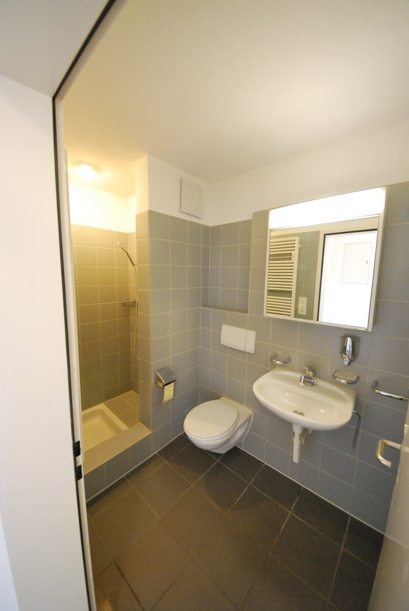 Modern, spacious apartment with a lot of room feeling, fireplace and sunny balcony/winter garden (7)