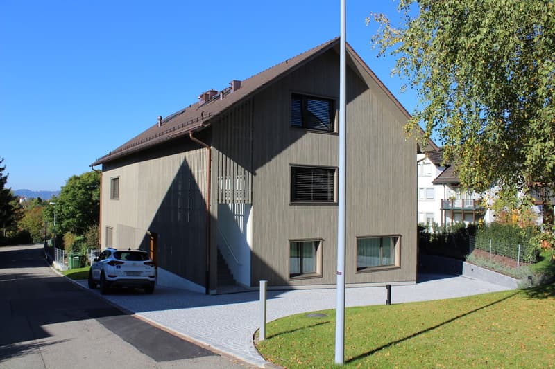 Appartamento a Zollikerberg in affitto (1)