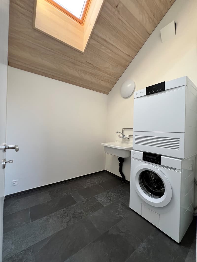 Appartamento a Zollikerberg in affitto (4)