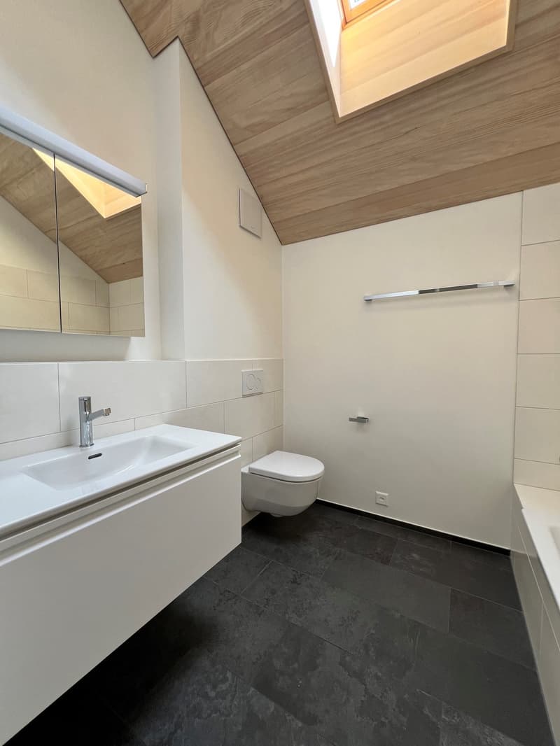 Appartamento a Zollikerberg in affitto (3)