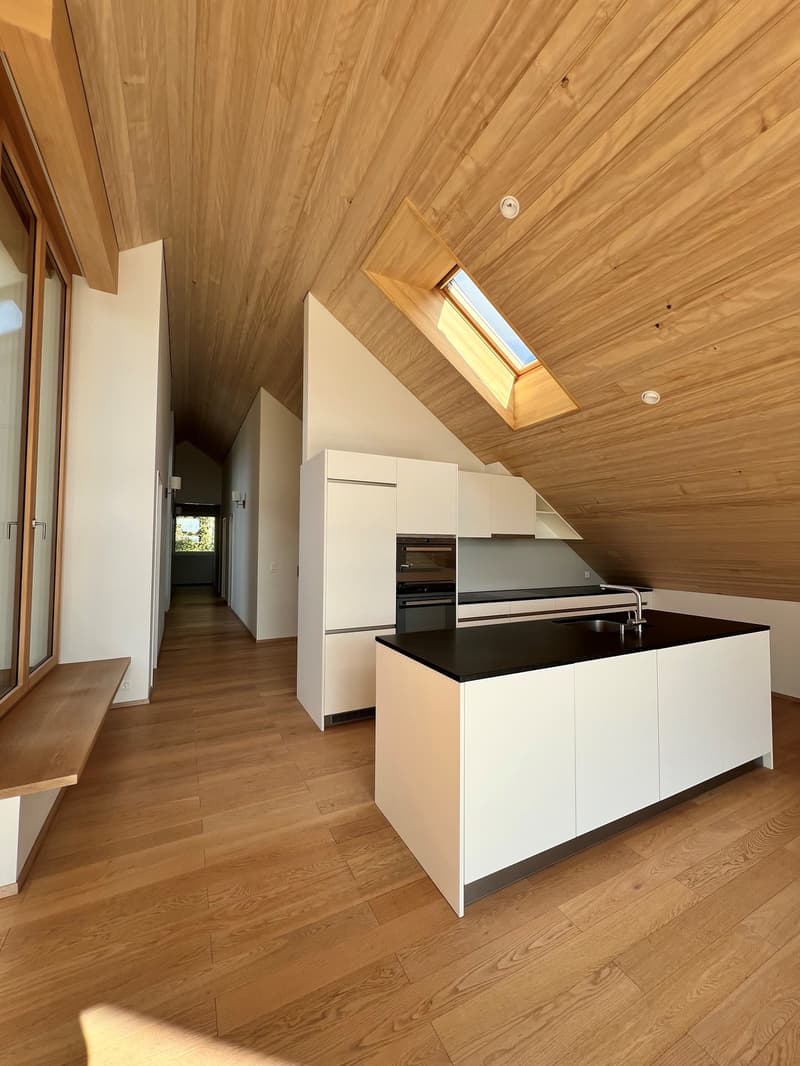 Appartamento a Zollikerberg in affitto (2)