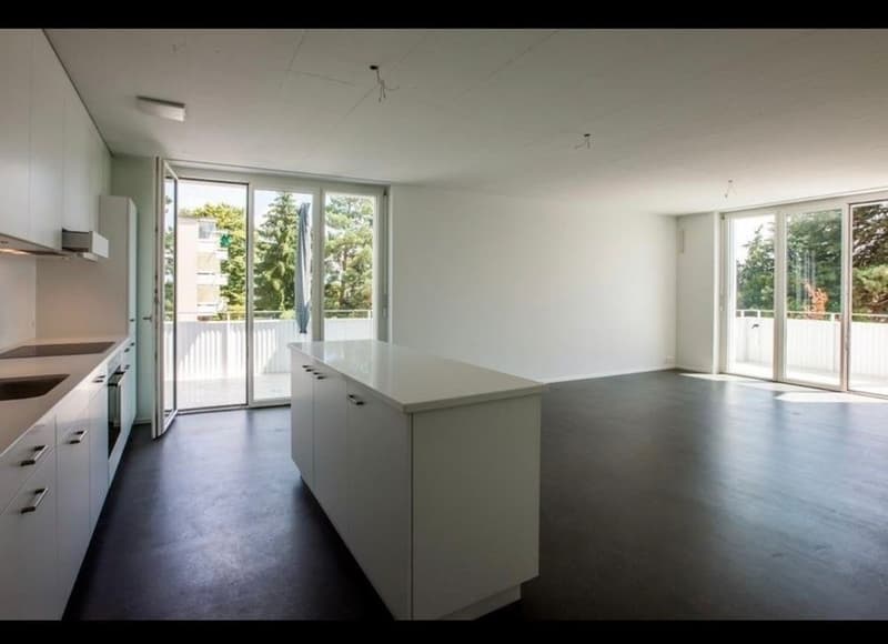 3 ½ Zimmer-Wohnung, 8707 Uetikon am See (4)