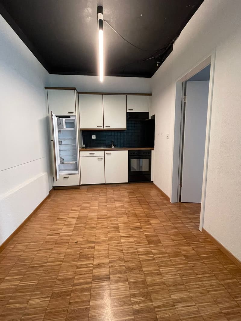Attractive studio in central and quiet location in Zurich (7)