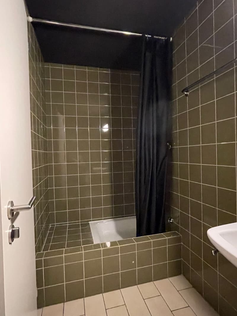 Attractive studio in central and quiet location in Zurich (10)