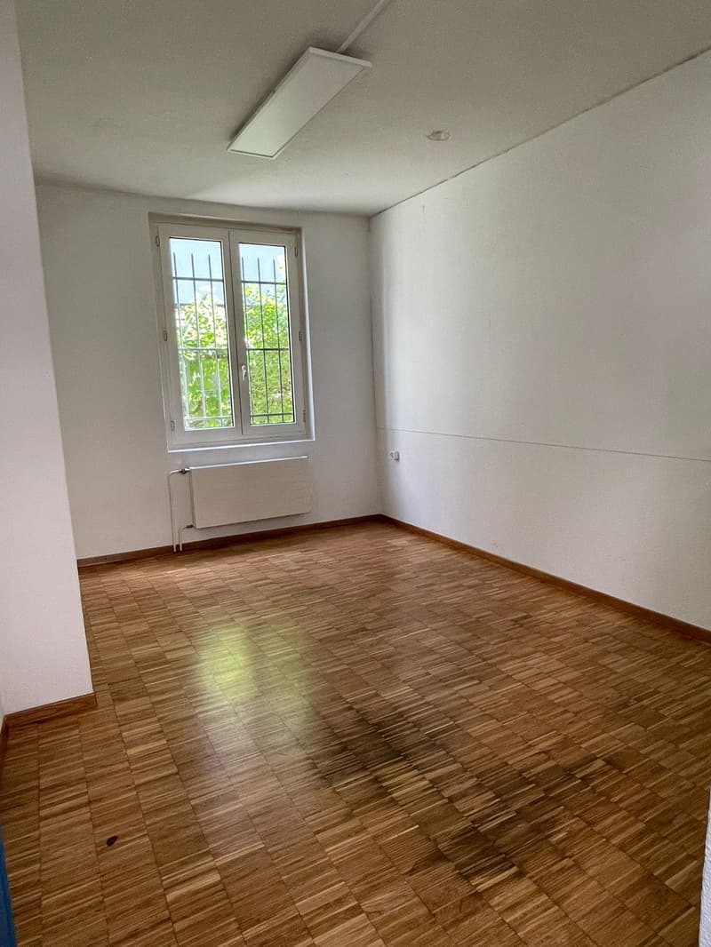 Attractive studio in central and quiet location in Zurich (5)