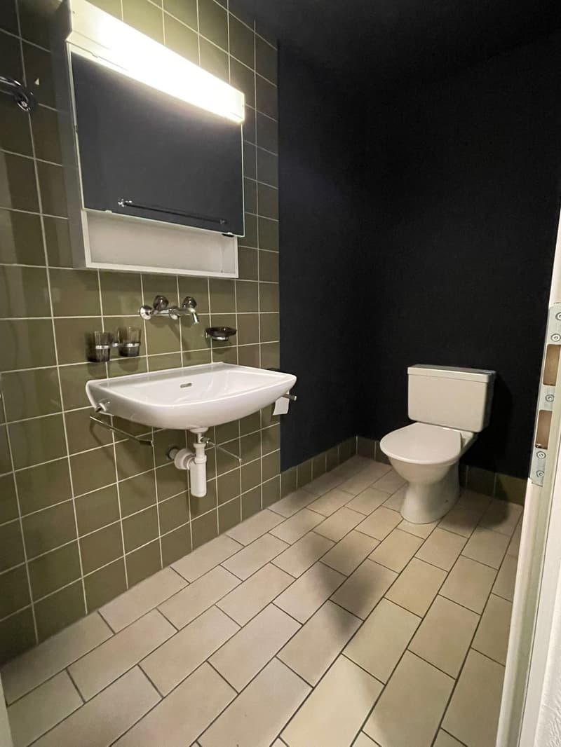 Attractive studio in central and quiet location in Zurich (9)