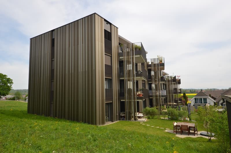 Hobby room for rent in Dietlikon (1)
