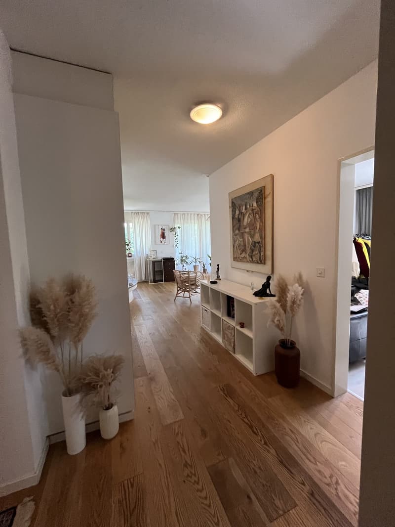 Wohnung in Wollishofen zu vermieten (5)