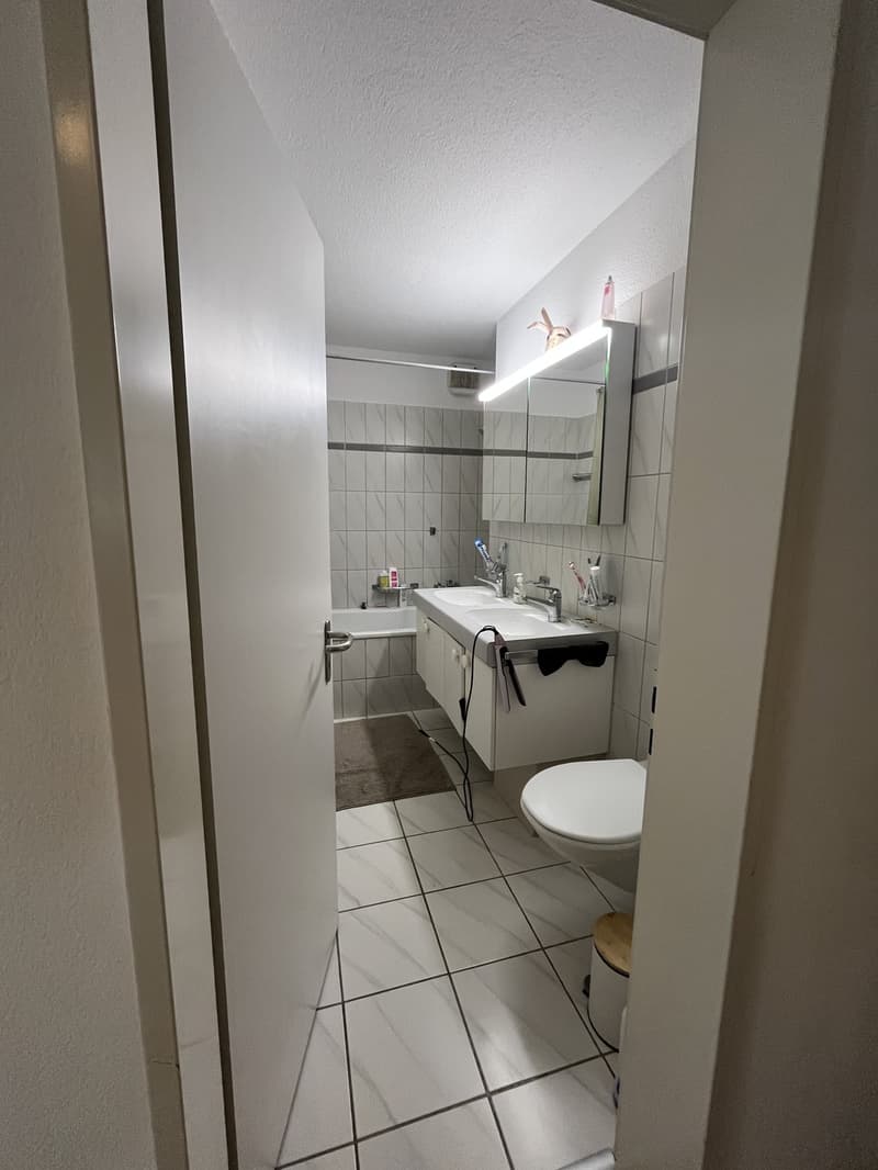Wohnung in Wollishofen zu vermieten (7)