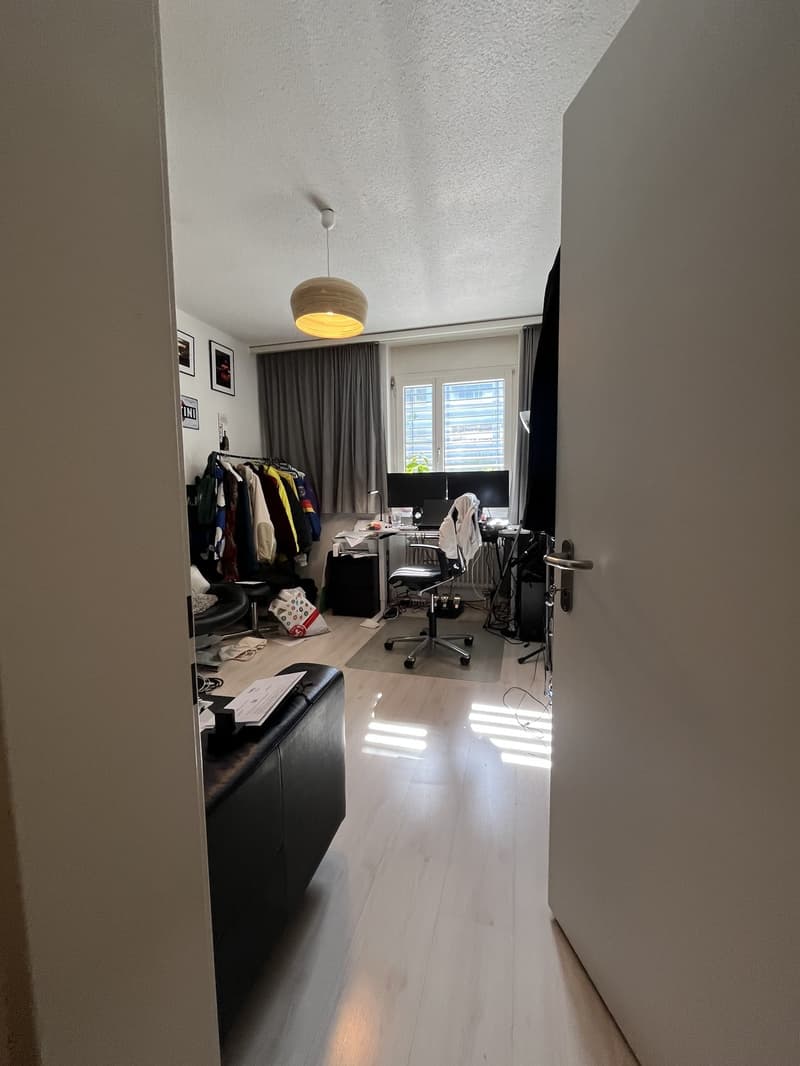 Wohnung in Wollishofen zu vermieten (6)