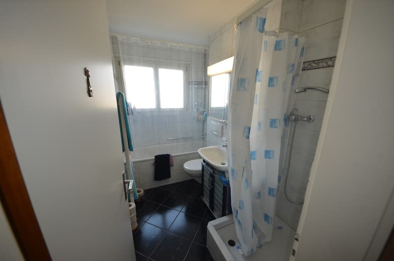 Spacious 4.5-room apartment for rent in central location (7)