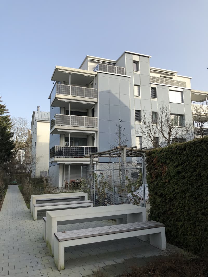 3 ½ Zimmer-Wohnung, 8050 Zürich (1)