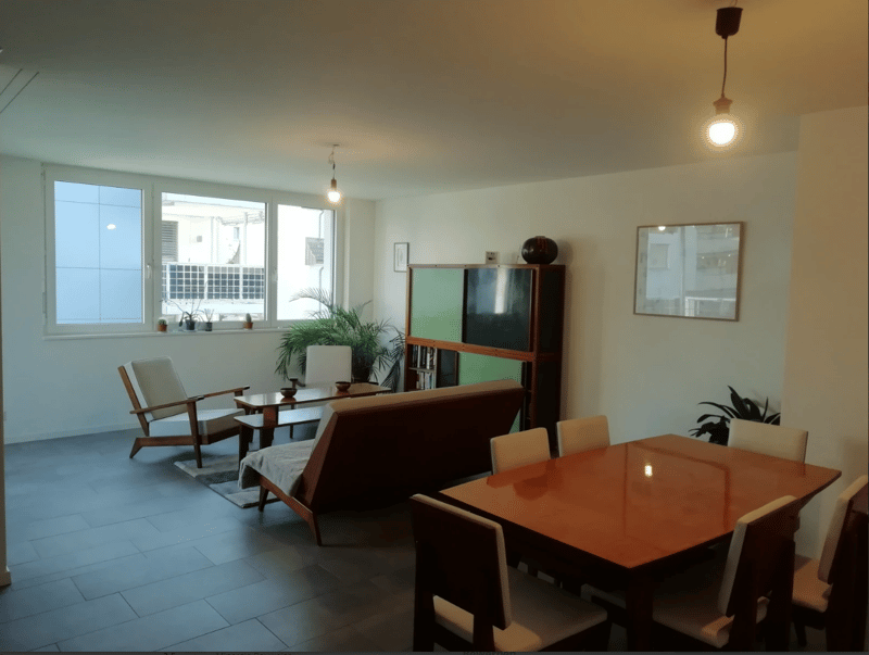 3 ½ Zimmer-Wohnung, 8050 Zürich (3)