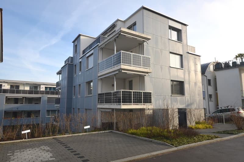 3 ½ Zimmer-Wohnung, 8050 Zürich (2)