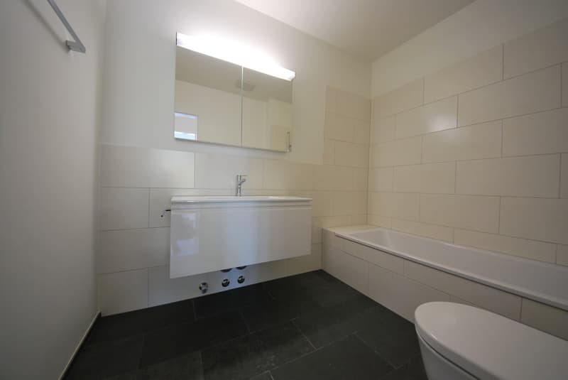 Wohnung in Zollikerberg zu vermieten (4)