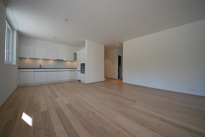 Wohnung in Zollikerberg zu vermieten (3)