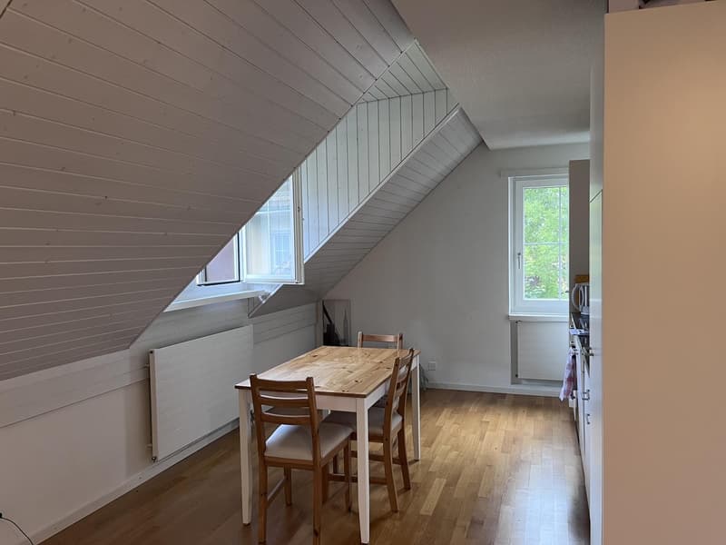 2 Bedroom Apartment, 8708 Männedorf (4)