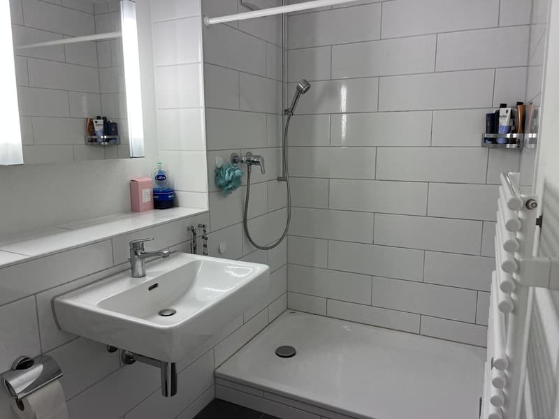 2 Bedroom Apartment, 8708 Männedorf (8)