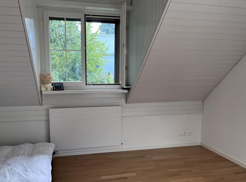 2 Bedroom Apartment, 8708 Männedorf (5)