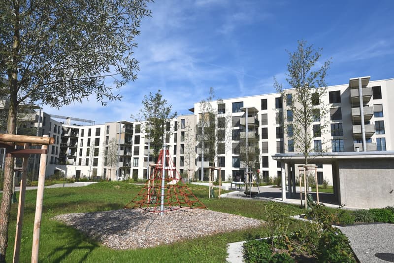 Appartamento bellissimo a Wetzikon (1)