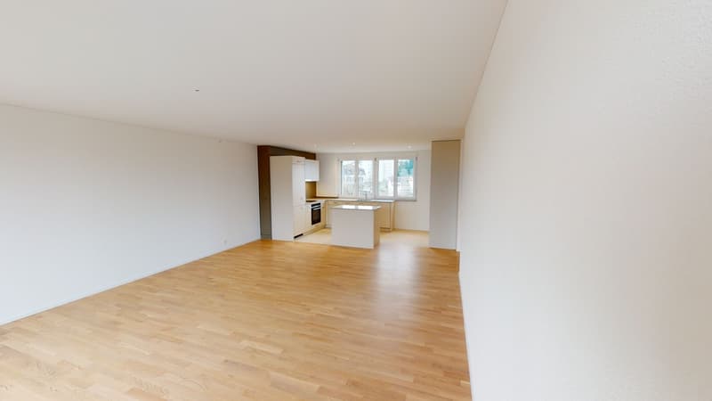 Appartamento bellissimo a Wetzikon (4)