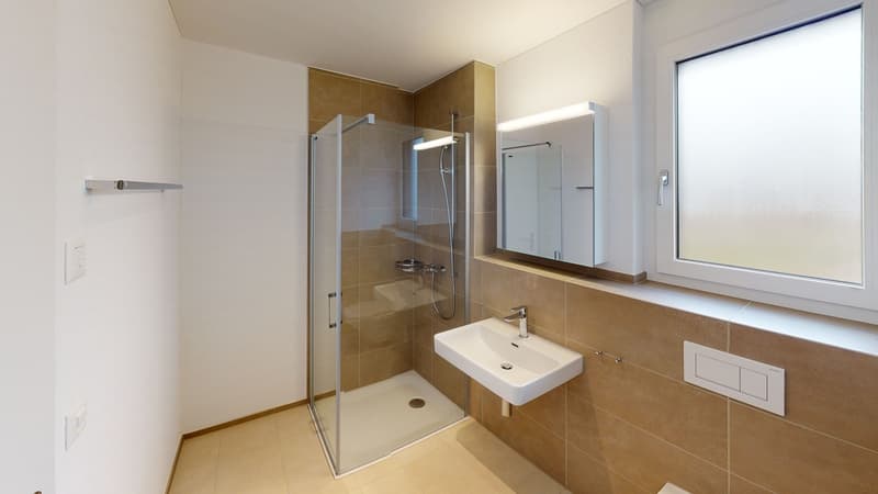 Appartamento bellissimo a Wetzikon (5)