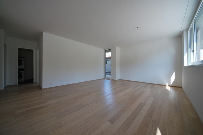 Appartamento in affitto a Zollikerberg (2)