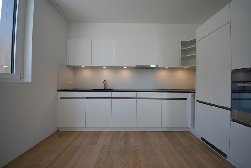 Appartamento in affitto a Zollikerberg (1)