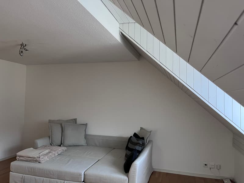 2 pièces appartement, 8708 Männedorf (7)