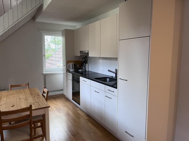 2 pièces appartement, 8708 Männedorf (3)