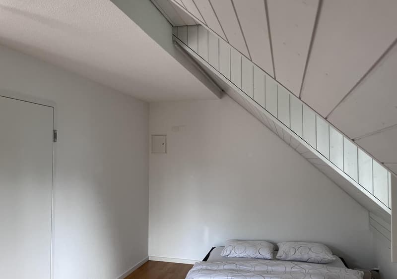 2 pièces appartement, 8708 Männedorf (6)