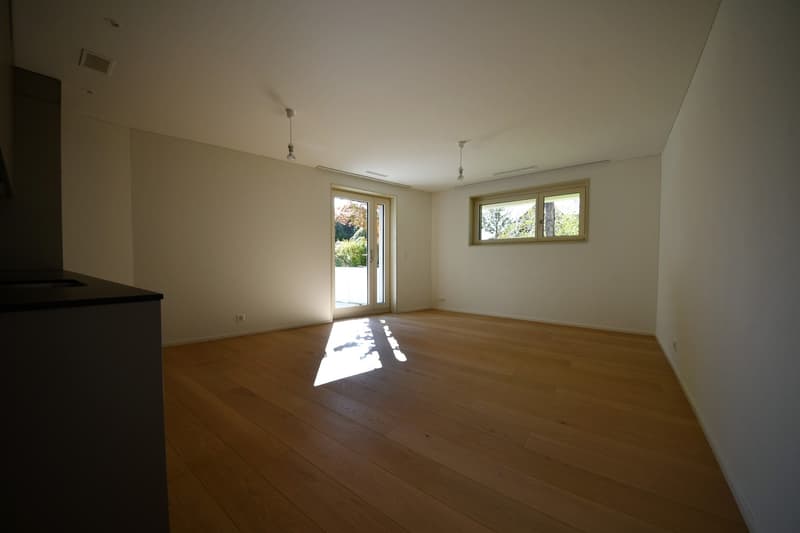 Appartamento attraente con posto a sedere in giardino a Zürich-Hottingen (4)