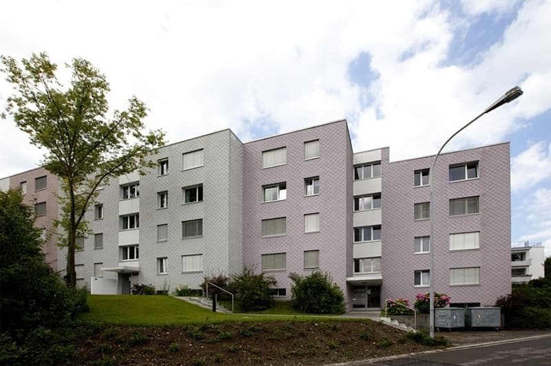 Bello appartamento di 3,5 locali in affitto a Effretikon (1)