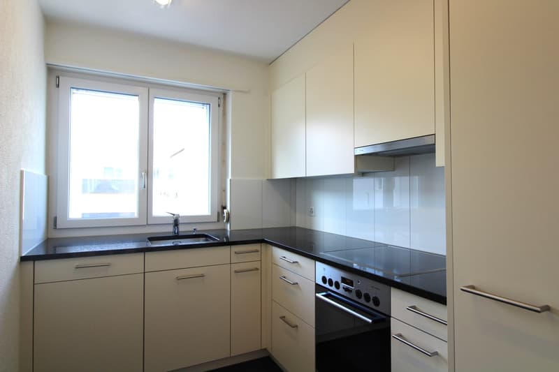 Bello appartamento 4.0 locali con balcone in affitto (2)