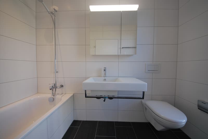 High-quality 3.5-room apartment for rent in Dietlikon (6)