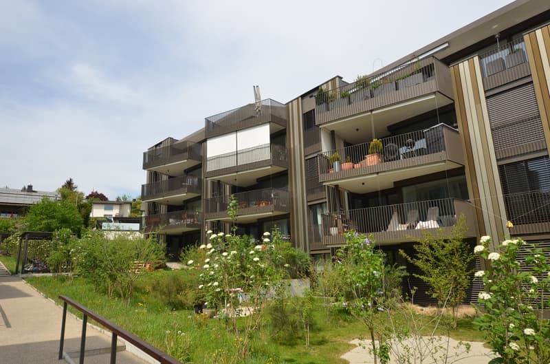 High-quality 3.5-room apartment for rent in Dietlikon (1)