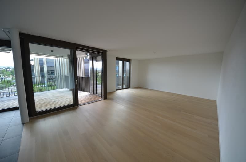 High-quality 3.5-room apartment for rent in Dietlikon (3)