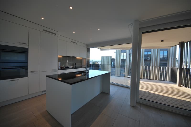 High-quality 3.5-room apartment for rent in Dietlikon (2)