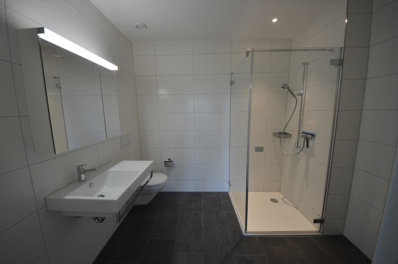 High-quality 3.5-room apartment for rent in Dietlikon (5)
