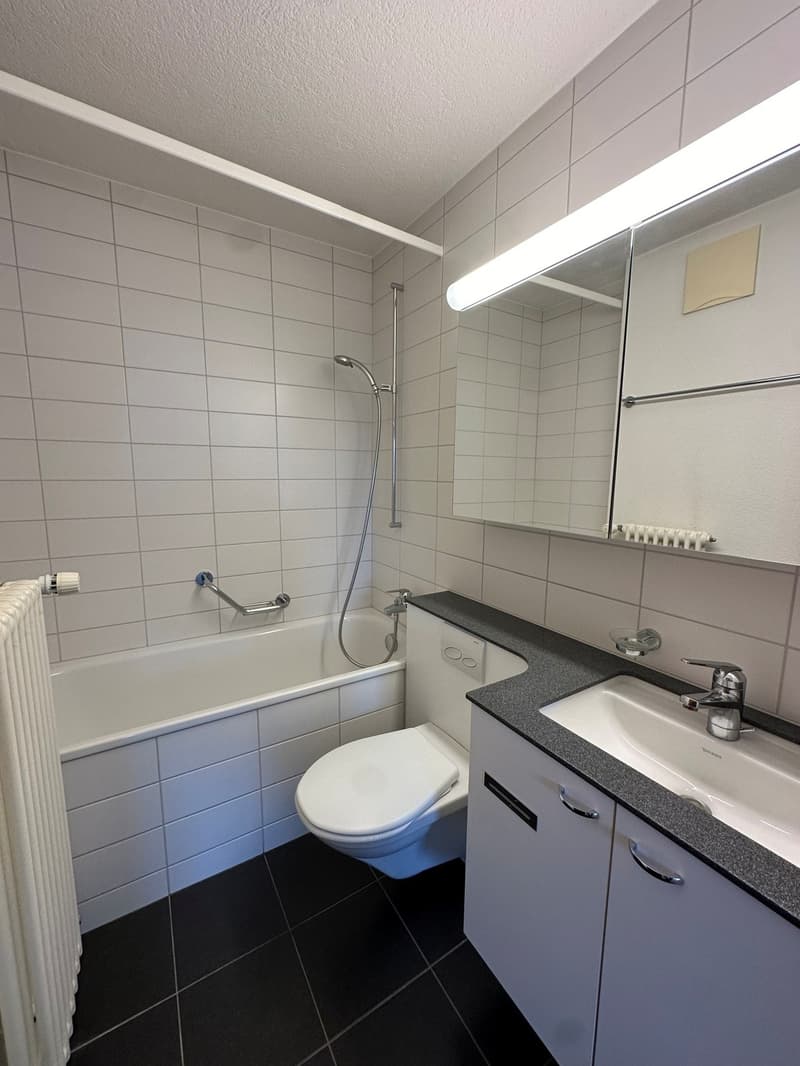 Charming 2.5-room apartment - near Dietlikon train station (5)