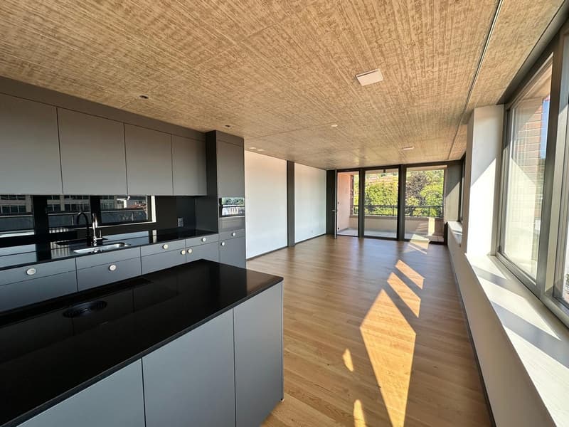 Moderne 2.5-Zimmerwohnung in der Lokstadt (2)