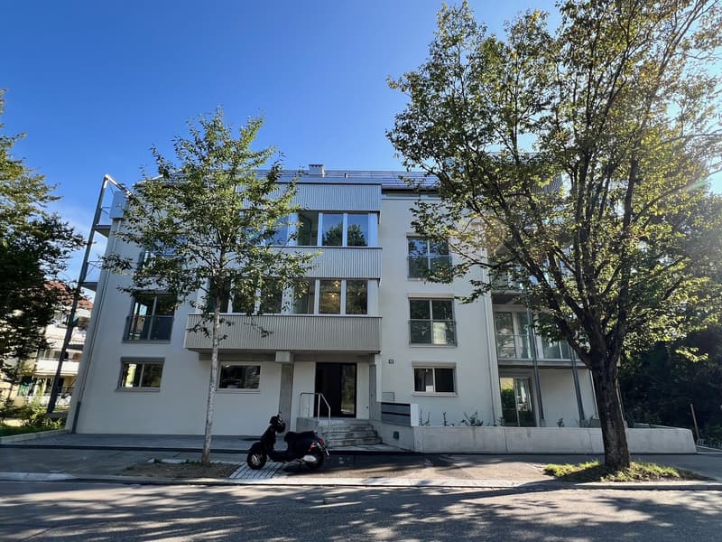 3.5-Zimmerwohnung an der Triemlistrasse zu vermieten (1)