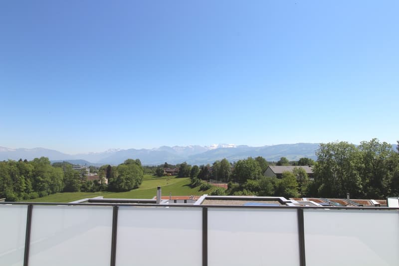 Lichtdurchflutete 5.5-Zimmerwohnung im Oberland zu vermieten (9)