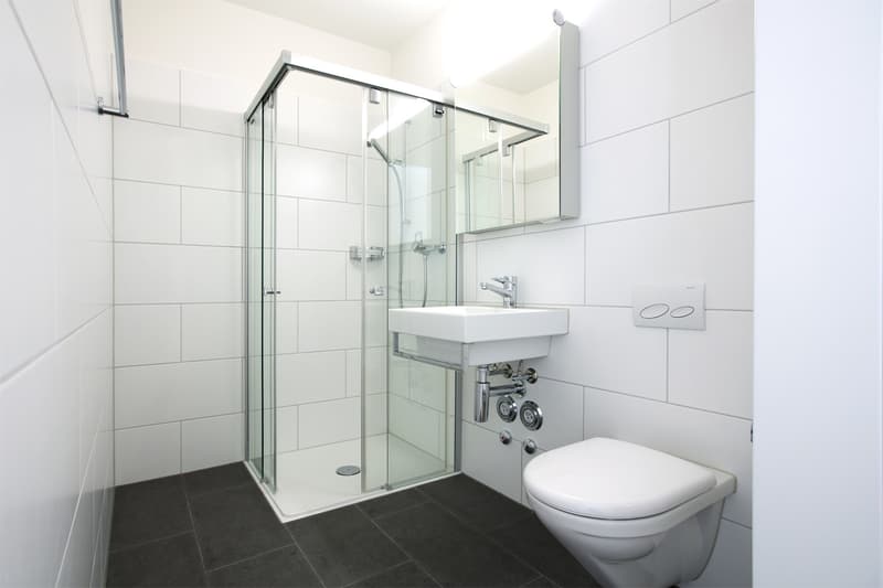 Wohnung in Adlikon zu vermieten (4)