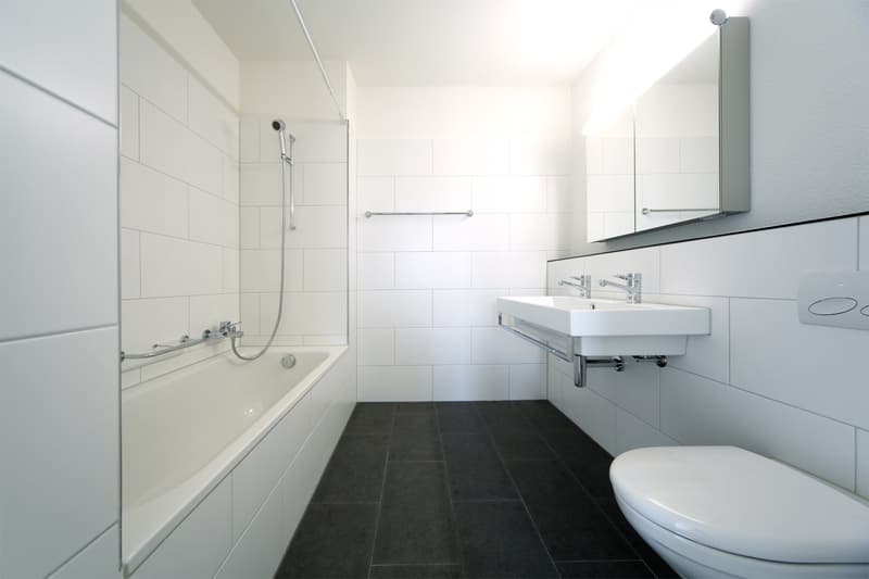 Wohnung in Adlikon zu vermieten (5)