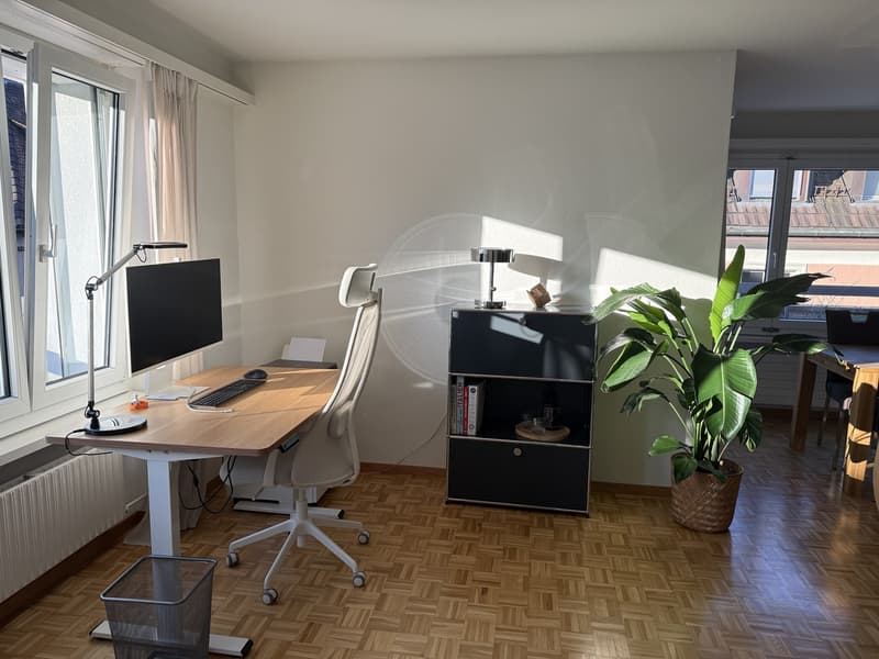 3 ½ Zimmer-Attikawohnung, 8004 Zürich (5)