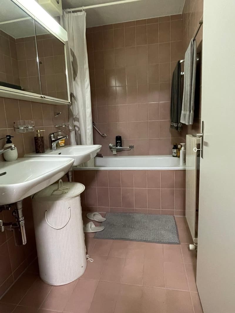 Willkommen in Ihrem neuen Zuhause an der Birkenstrasse 8 in Männedorf! (9)