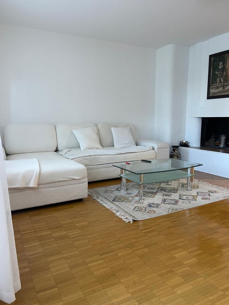Willkommen in Ihrem neuen Zuhause an der Birkenstrasse 8 in Männedorf! (6)