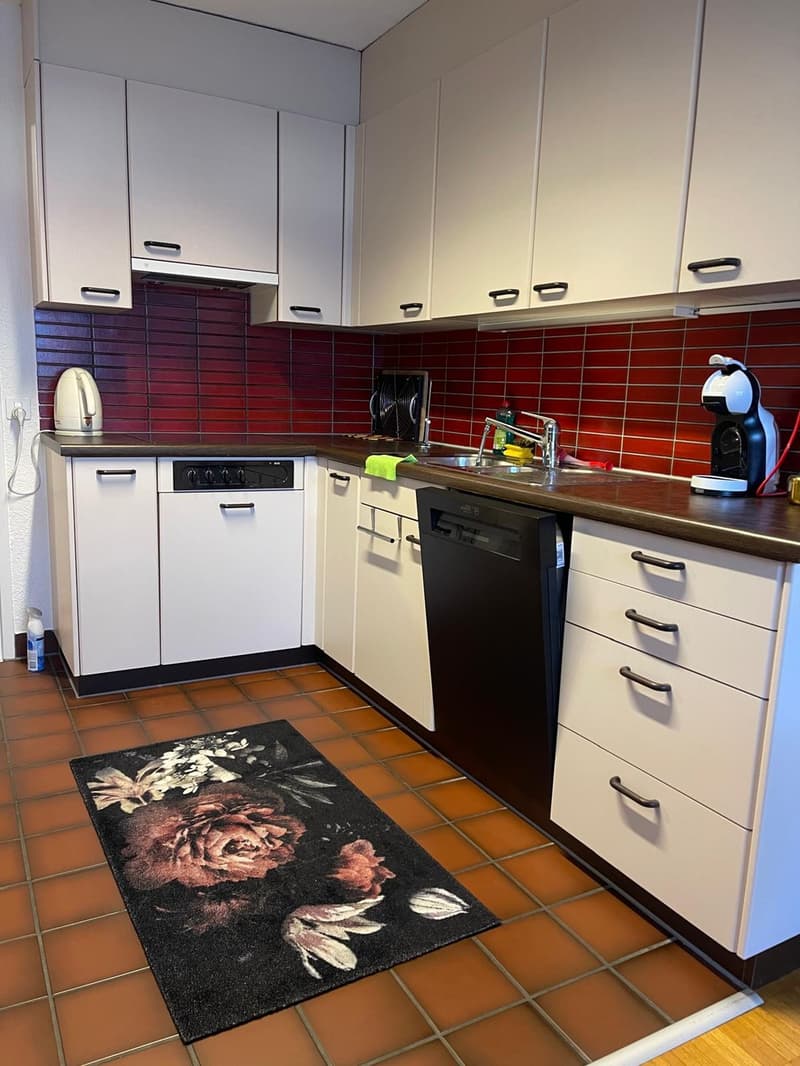 Willkommen in Ihrem neuen Zuhause an der Birkenstrasse 8 in Männedorf! (2)