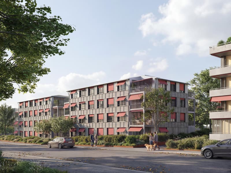 Cittadino. Verde. Casa. | Appartamenti moderni di 4,5 locali (4)